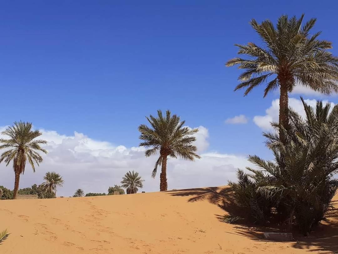 Hotel Riad Le Petit Prince 梅尔祖卡 外观 照片